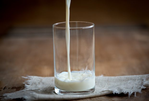 Le lait est-il vraiment bon pour renforcer les os ?