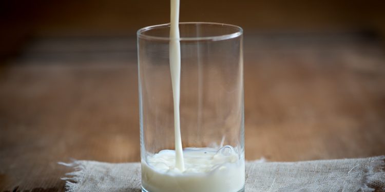 Le lait est-il vraiment bon pour renforcer les os ?